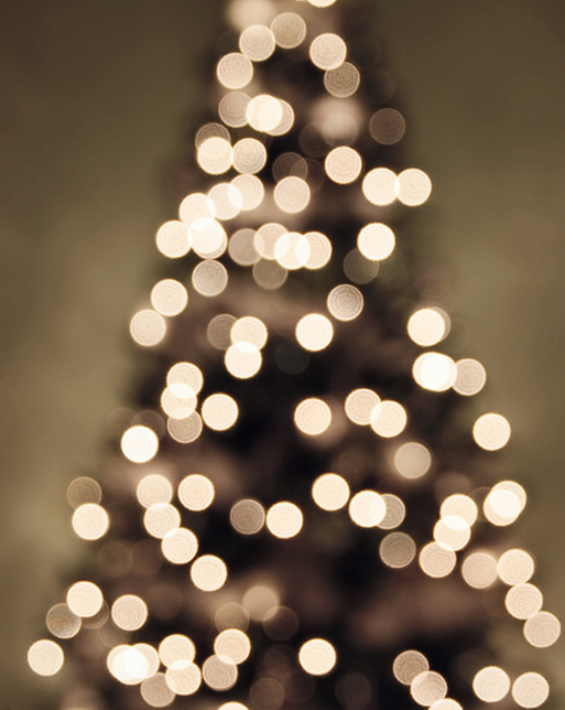 Kerst thuismenu 4-gangen